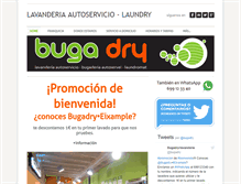 Tablet Screenshot of bugadry.com